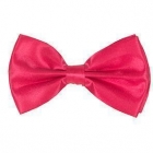 <p>43583F Розовый галстук-бабочка 3,10 €</p>