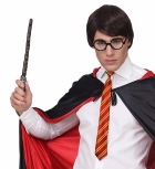<p>07797 Комплект Гарри Поттера (галстук, волшебная палочка, очки) 15,50 €</p>