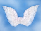 <p>SK3-008 Крылья ангела 75 x 45cm - 14,50 €</p>