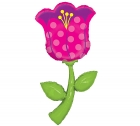 <p>85614 Tulp 1,5 m - 23,00 €</p>