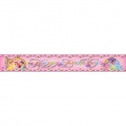 <p>993866 Happy Birthday Banner (Disney) 4,50м- 2,00 €</p>