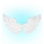 <p>8656W Крылья ангела 86 x 42cm - 22,00 €</p>