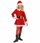 <p>14906 Kleit Santa (kleit, müts, vöö) 116см, 128см - 19,90 €</p>