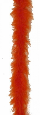 <p>46142J Oranž boa 15g - 5,60 €</p> <p> </p>